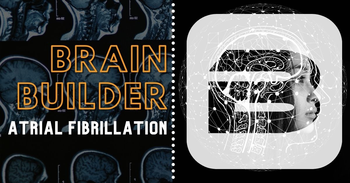 Atrial Fibrillation | Real 3D Anatomy | BodyViz Brain B