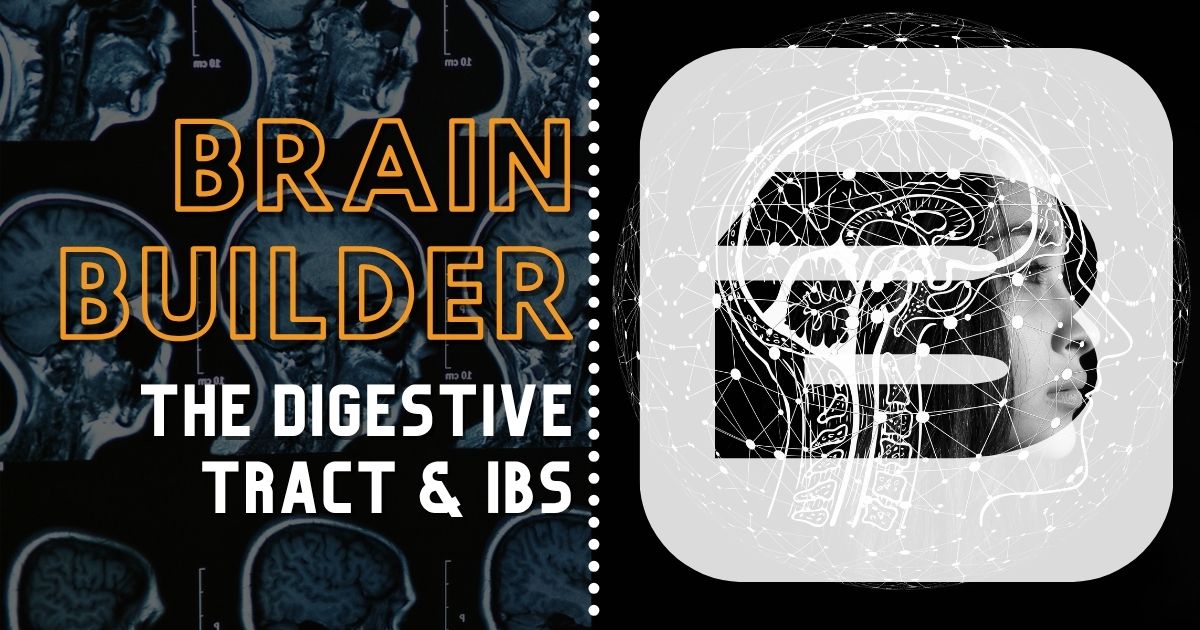The Digestive Tract and IBS | Real 3D Anatomy | Brain B