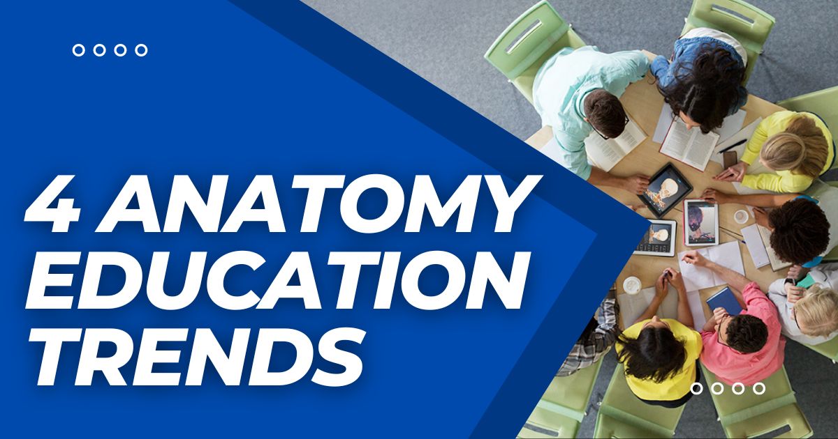 4 Anatomy Education Trends BodyViz 3D Anatomy