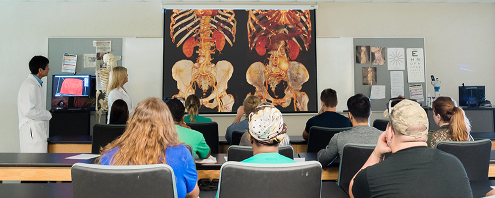 Instructors using BodyViz authentic patient virtual dissection to teach undergraduate anatomy Instructors using BodyViz authentic patient virtual dissection to teach undergraduate anatomy