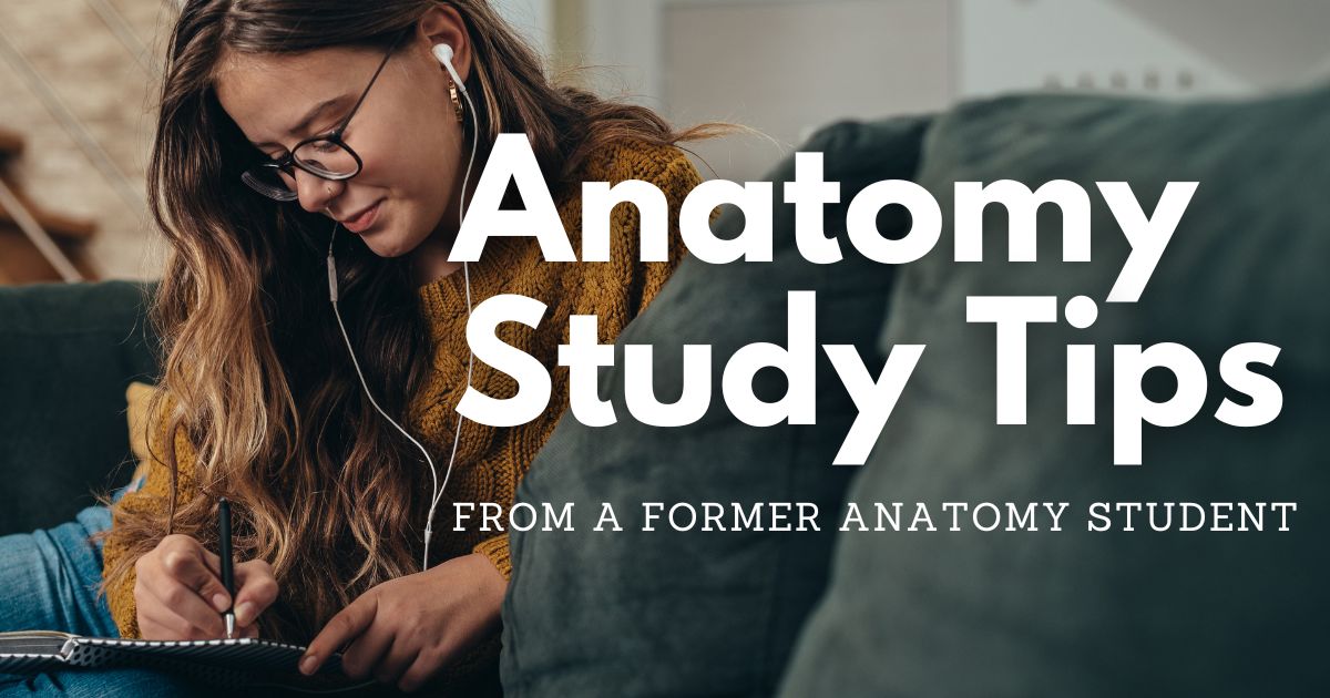 Anatomy Study Tips from a Former Anatomy Student Blog H