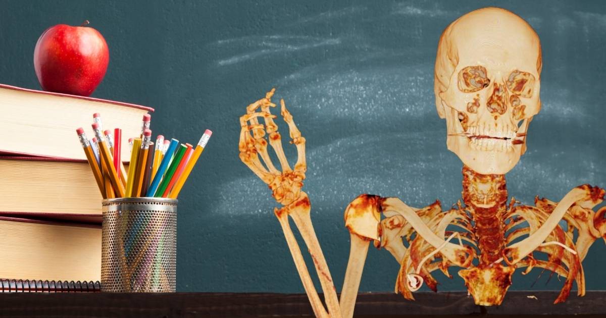 Back to School Checklist with skeleton waving
