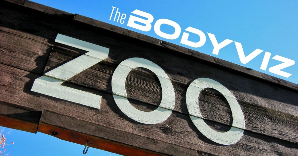 The BodyViz Zoo - 3D Animal Dissections