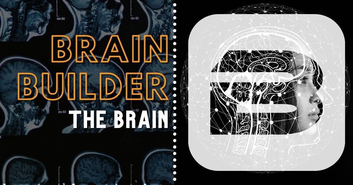 Brain Builder on the Introduction of the Brain