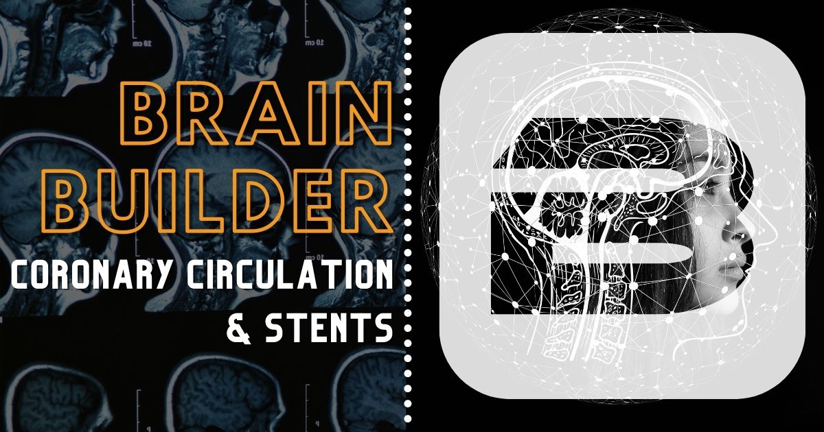 Coronary Circulation and Stents BodyViz Brain Builder