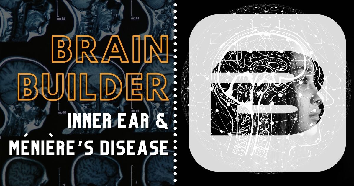 Inner Ear and Menieres Disease Brain Builder