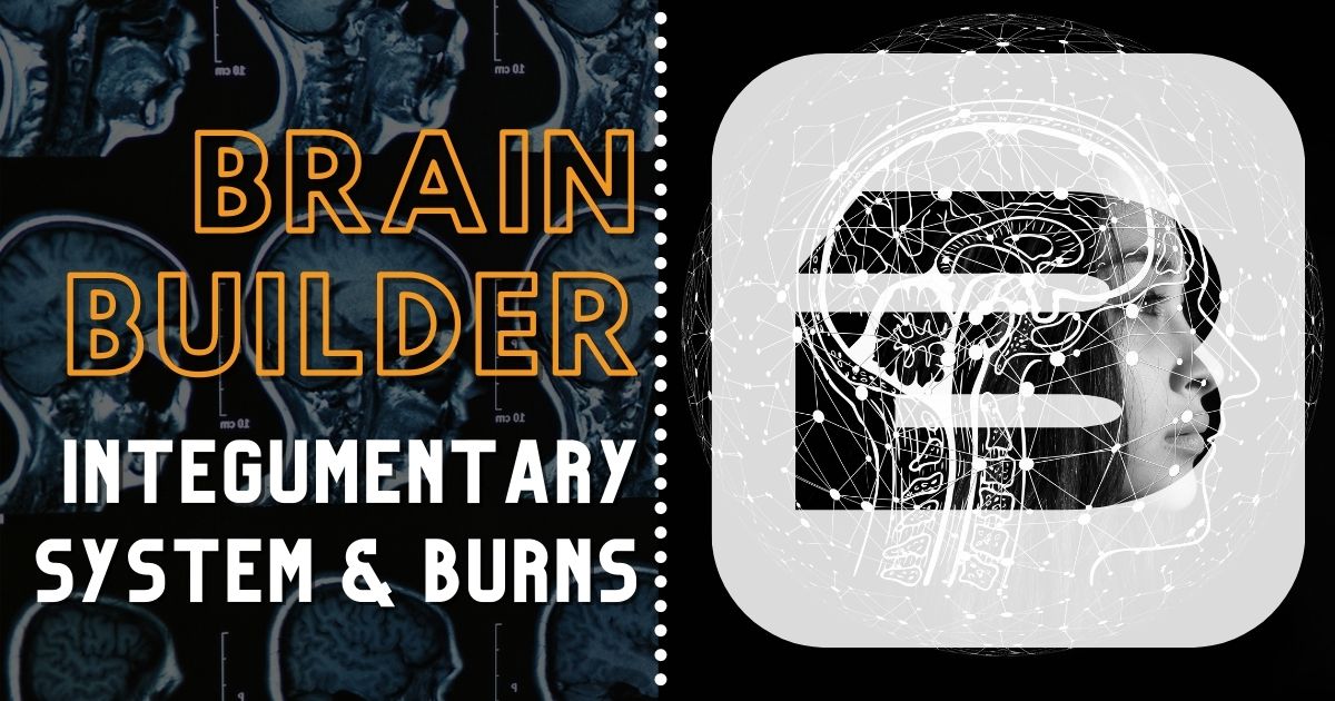 Integumentary System and Burns