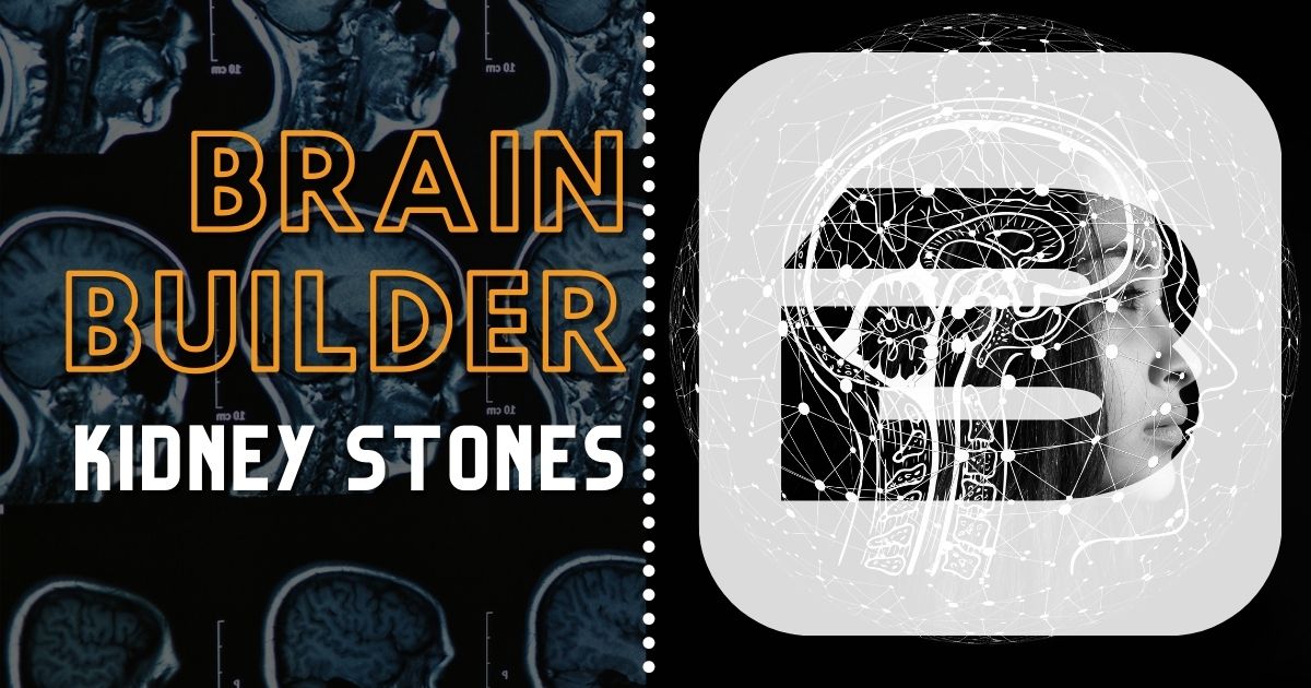 BodyViz Brain Builder Kidney Stones