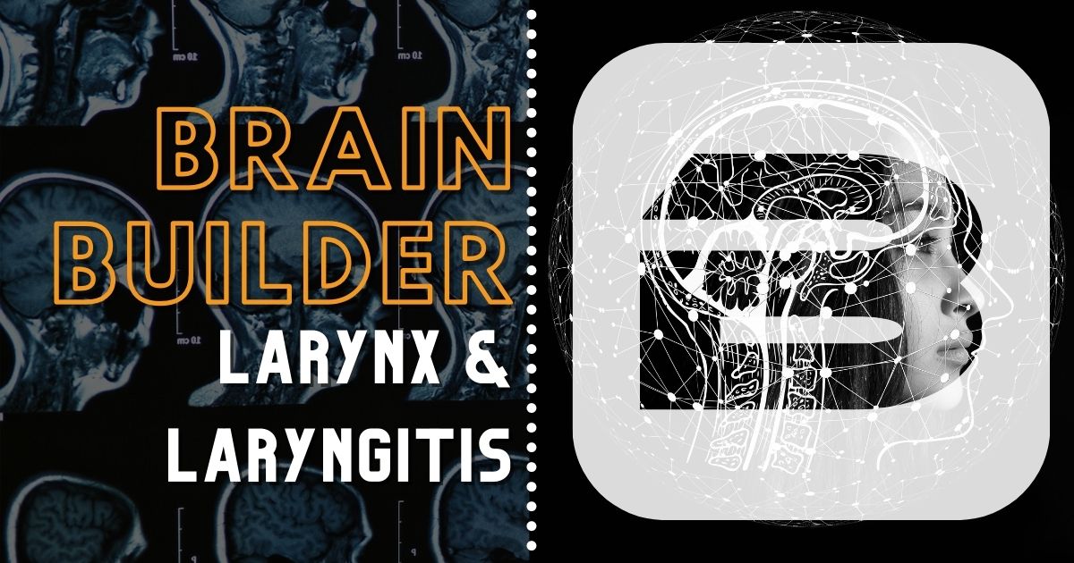 The Larynx and Laryngitis | Respiratory System