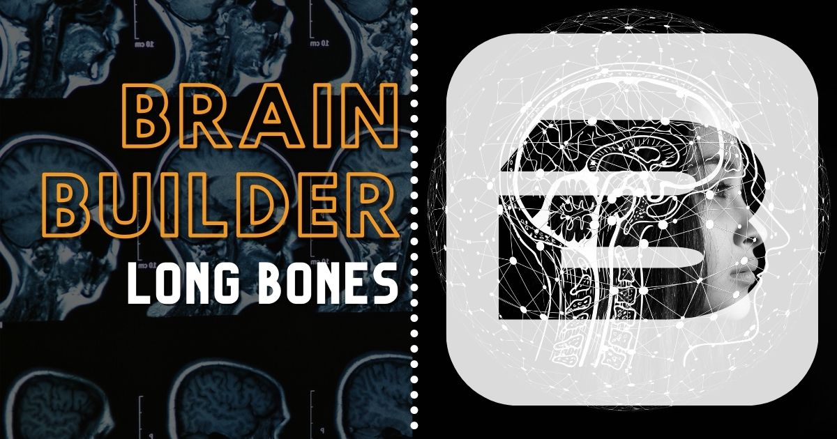 Brain Builder: Learning about Long Bones