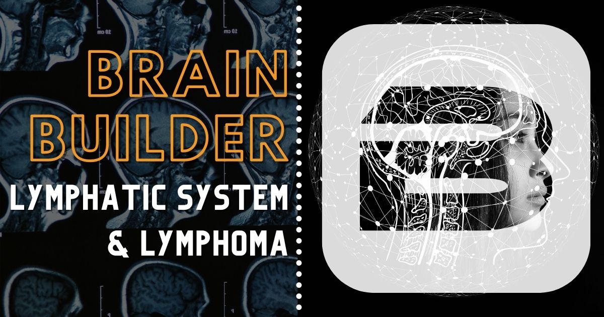 Lymphatic System and Lymphoma 3D Anatomy