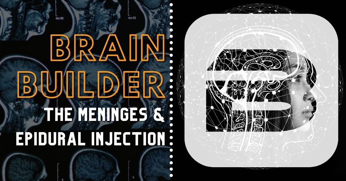 The Meninges and Epidural Injection in 3D anatomy