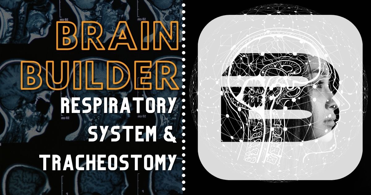 Respiratory System and Tracheostomy Anatomy 3D Video an