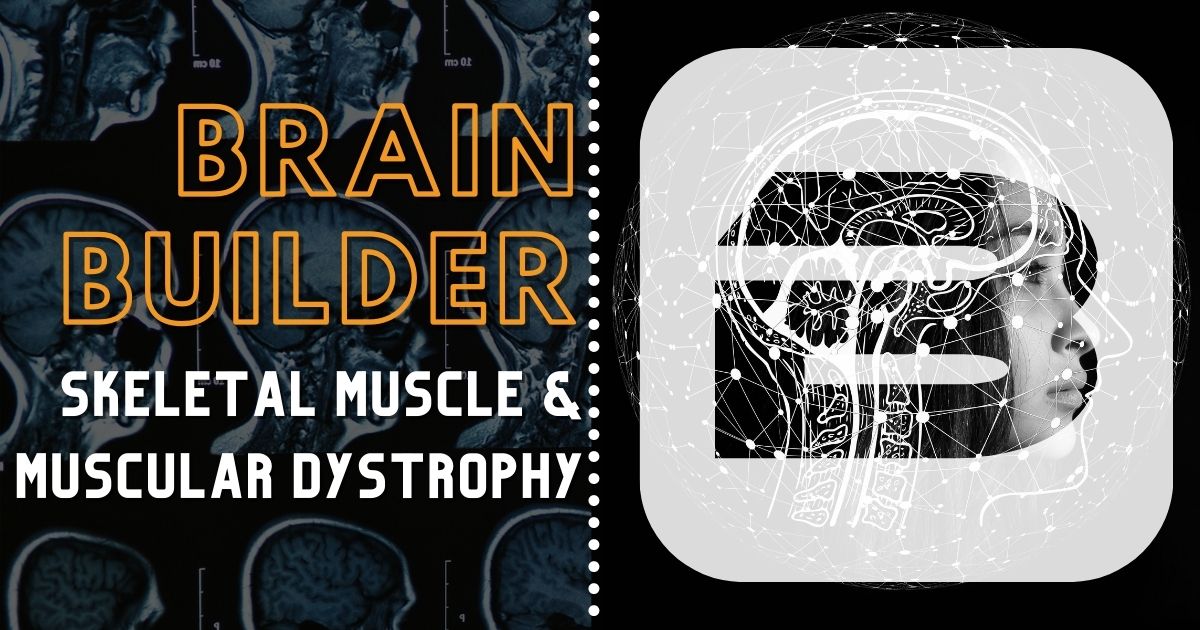 Skeletal Muscle and Muscular Dystrophy Anatomy 