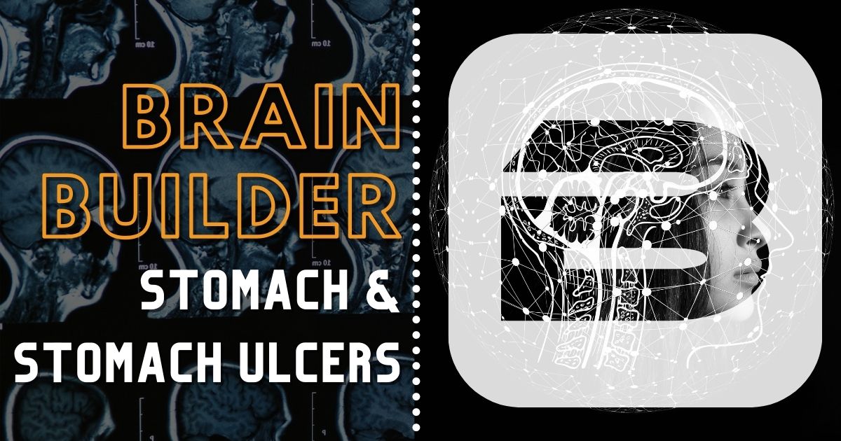 Stomach and Stomach Ulcers Brain Builder