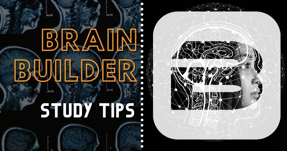 Anatomy Study Tips Brain Builder