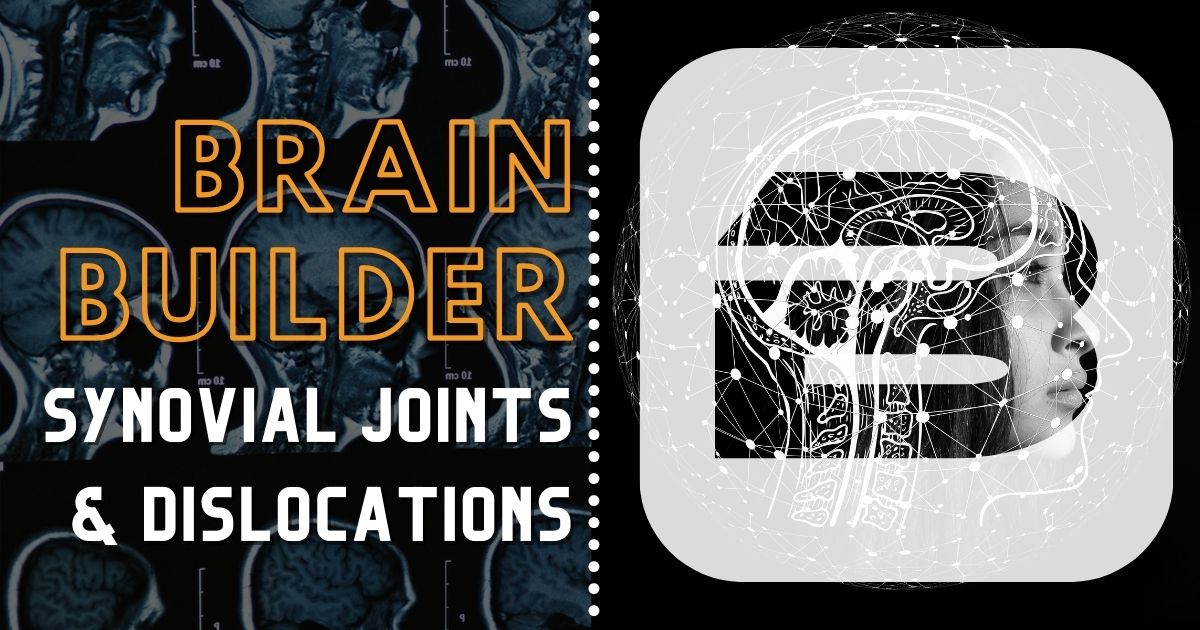 Synovial Joints and Joint Dislocation Brain Builder