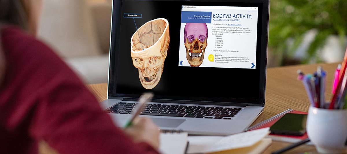 Active Learning with 3D Anatomy