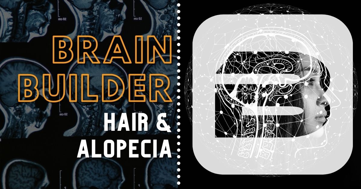 Hair and Alopecia | BodyViz 3D Anatomy