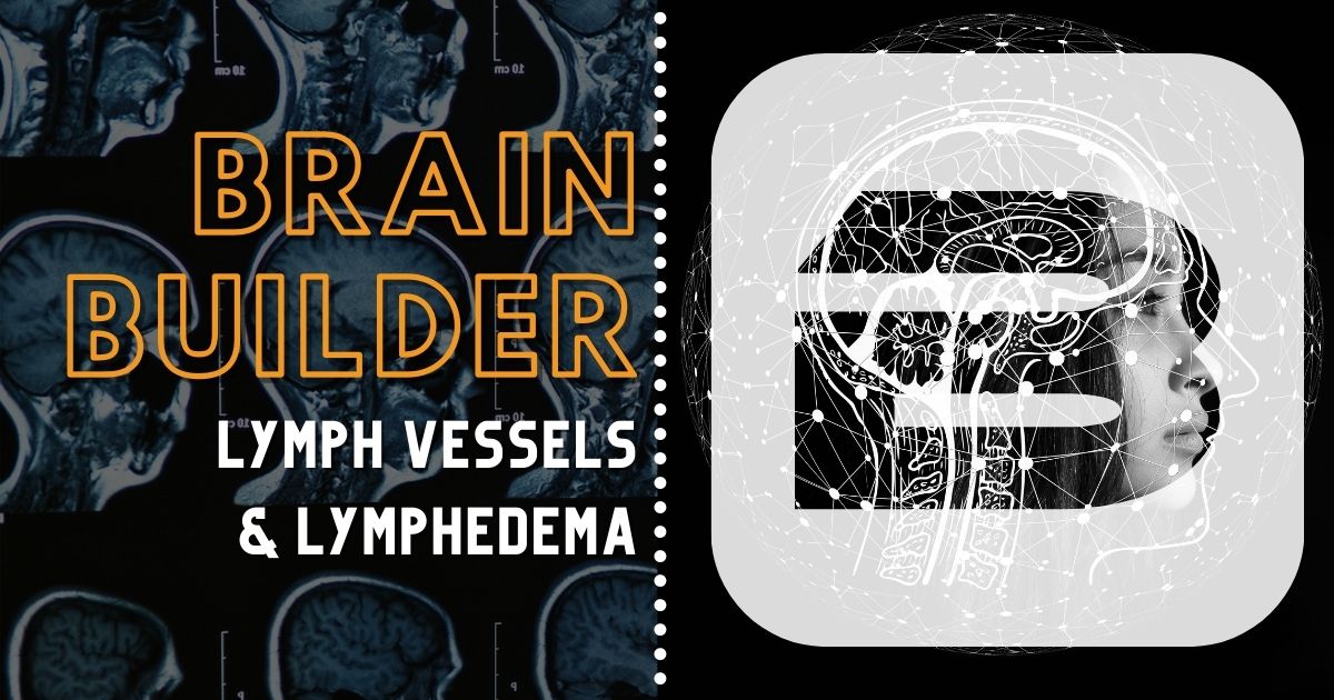 Lymph Vessels and Lymphedema Brain Builder