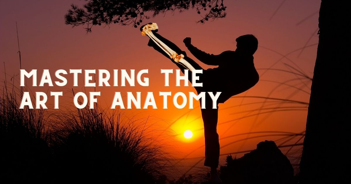 Mastering the Art of anatomy with 3D virtual anatomy