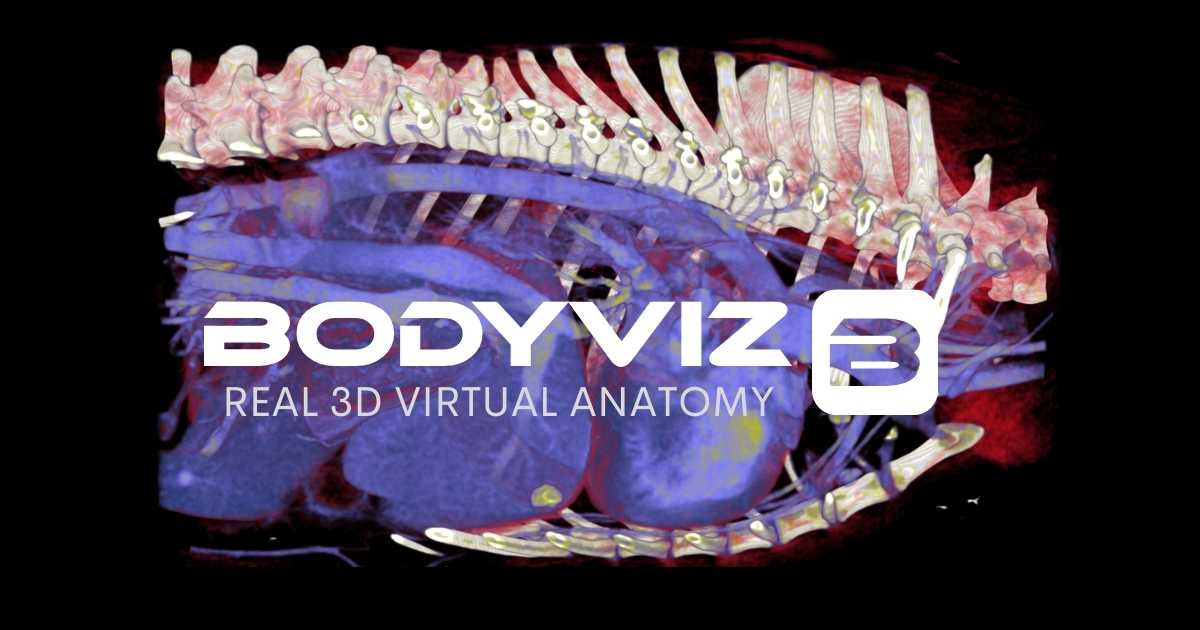 BodyViz scan of dog with gallstone and Bodyviz Real 3D 