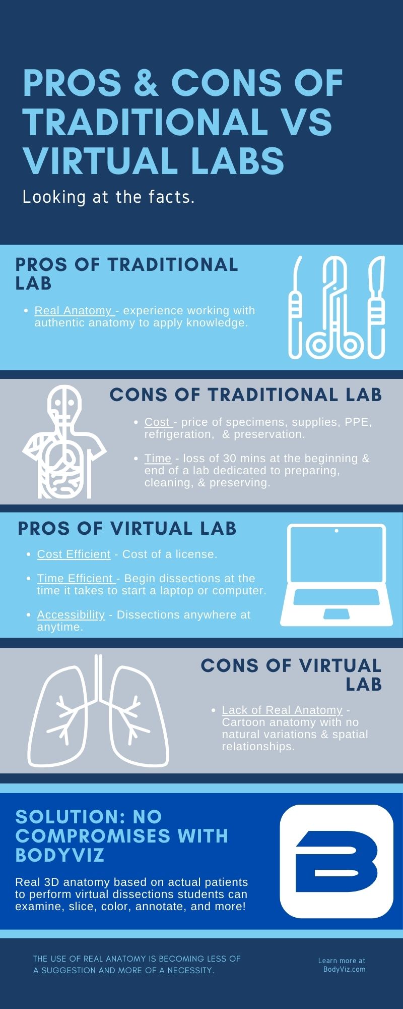 Infographic of Pros and Cons of a virtual anatomy lab vs traditional lab