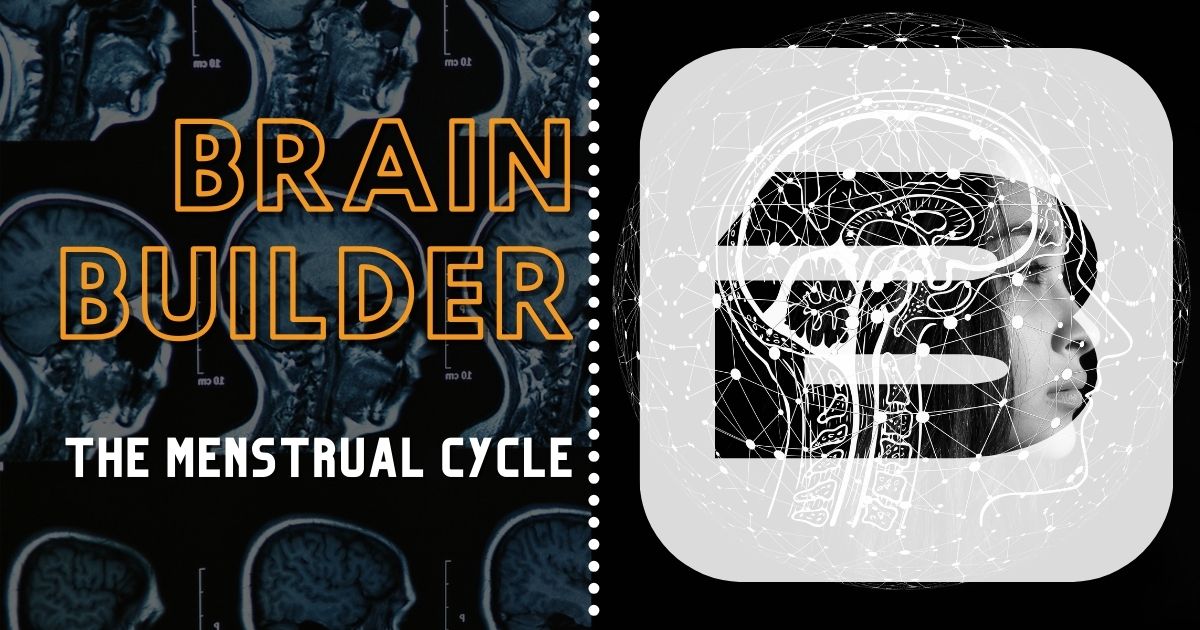 The Menstrual Cycle | BodyViz Brain Builder