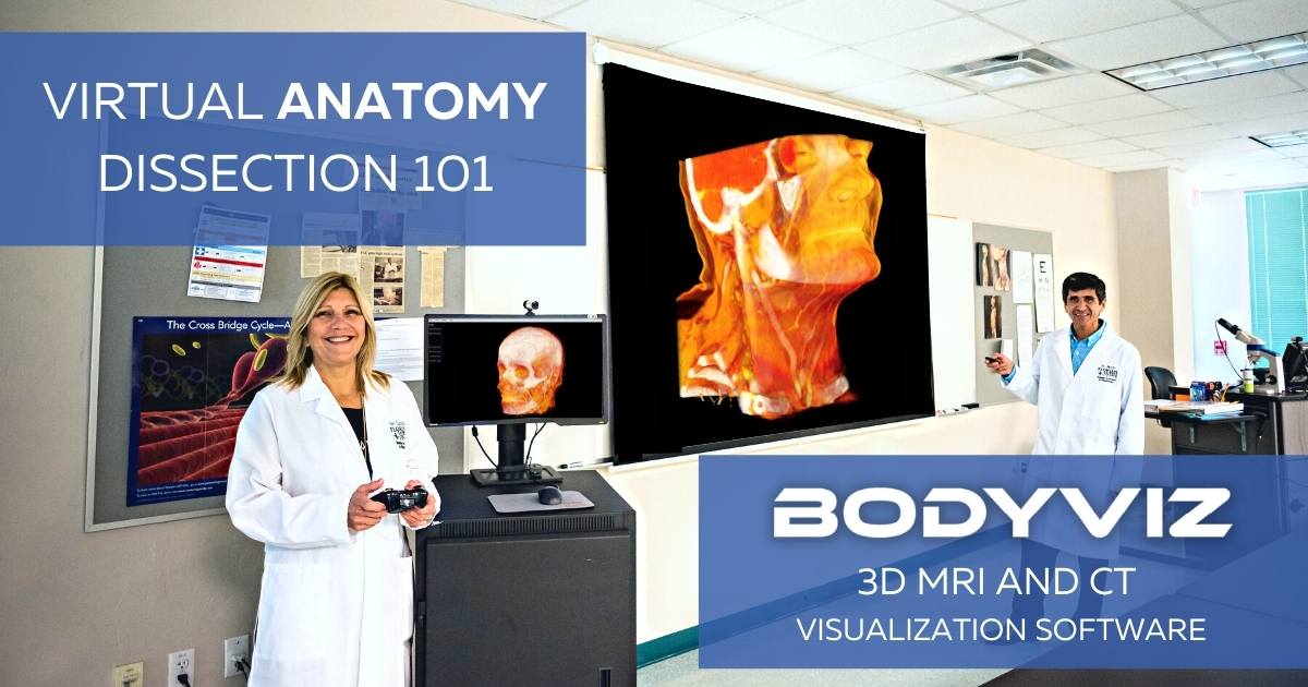 Virtual Anatomy Dissection 101 with BodyViz 3D anatomy 