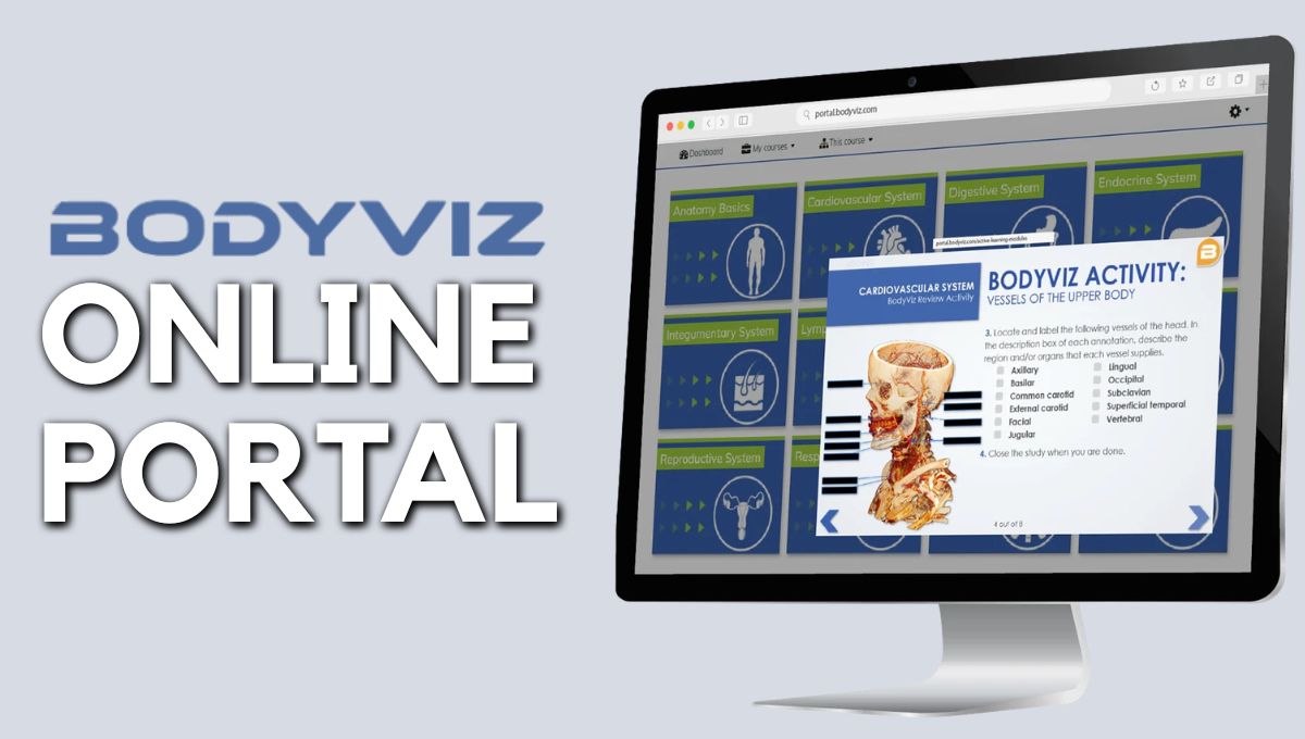 BodyViz Online Portal