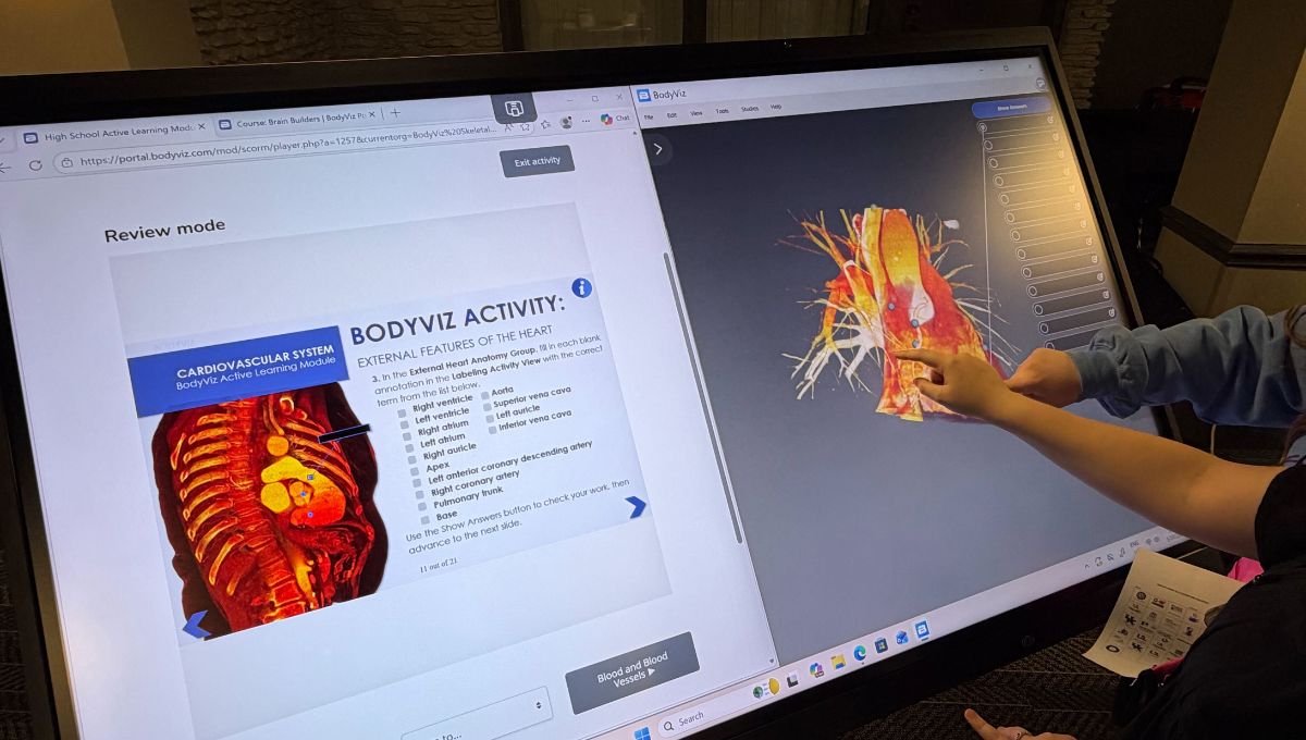 Understanding Anatomical Relationships | 3D Anatomy